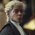 The Role of British Solicitors: An Expert's Perspective
